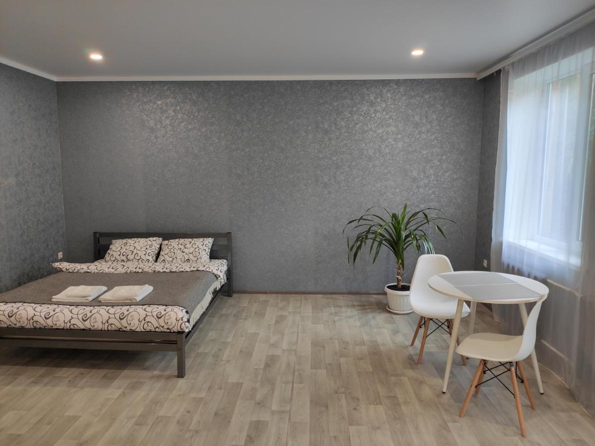 Две Уютные Квартиры В Центре Города Дзержинка - New Apartments Kryvyi Rih Exterior photo
